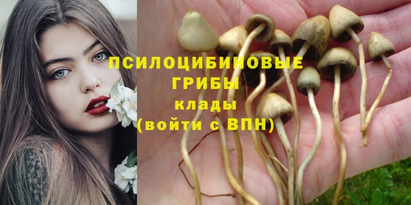 мескалин Аркадак
