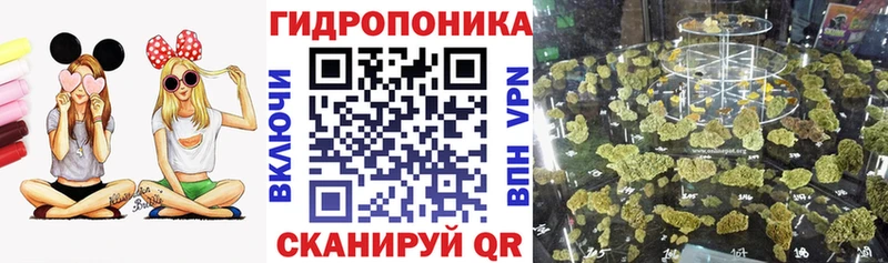 дарнет шоп  Вятские Поляны  Бошки Шишки тримм 